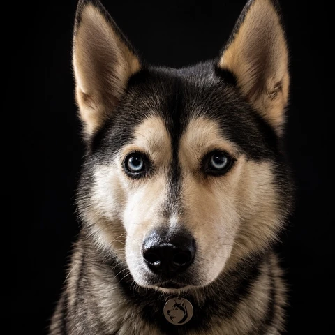 Локи, фотография