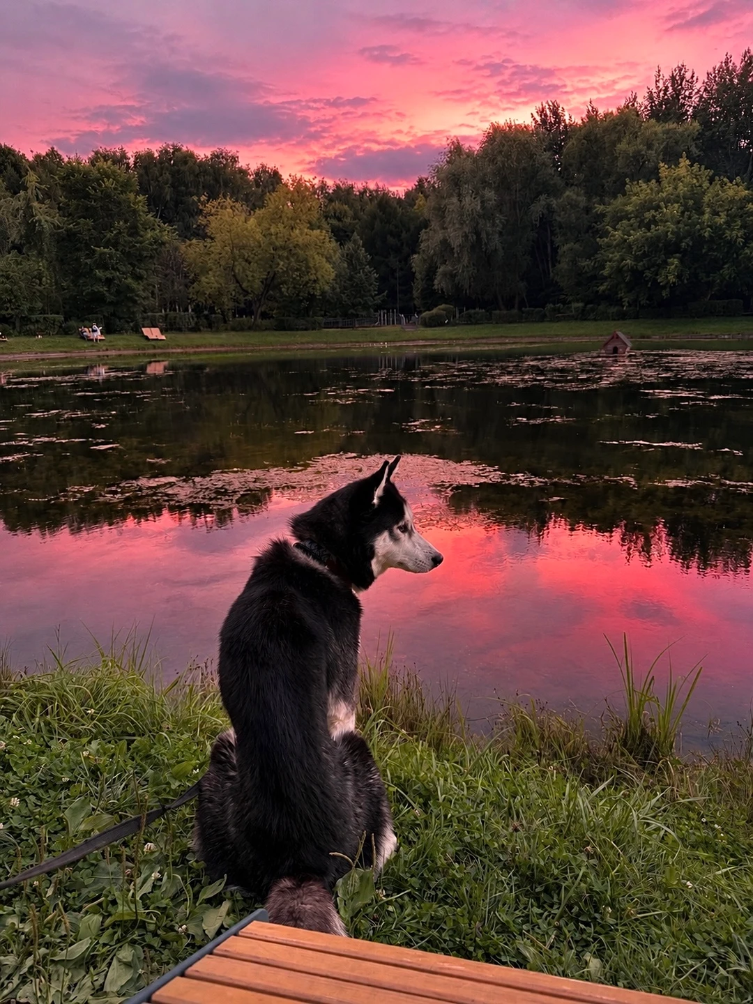Яна🦋, фотография