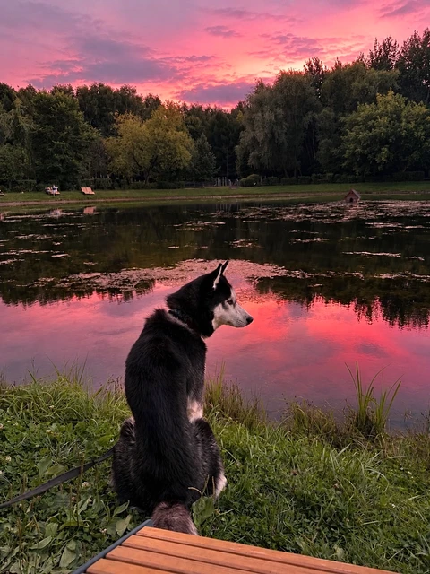 Шелдон, фотография