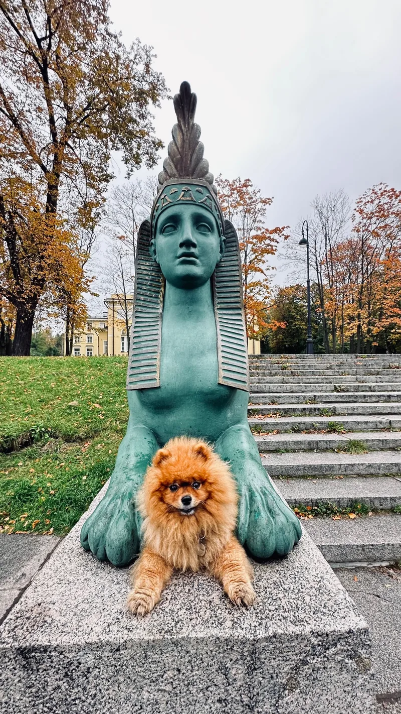 Динеш, фотография