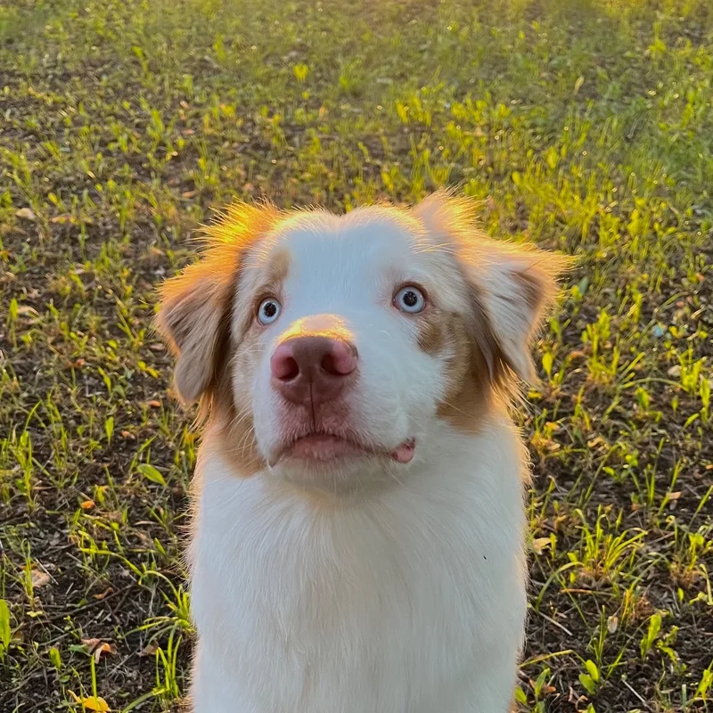 Яна, фотография