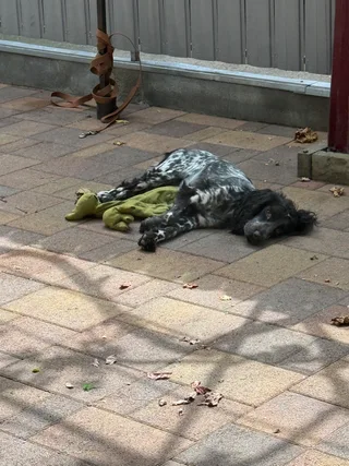 тучка, фотография