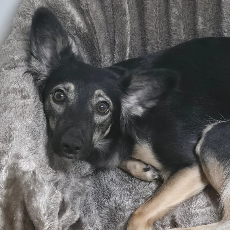 Natty, фотография