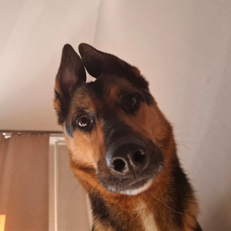 Полина, фотография