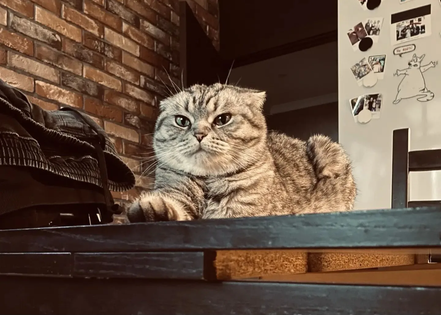 👑