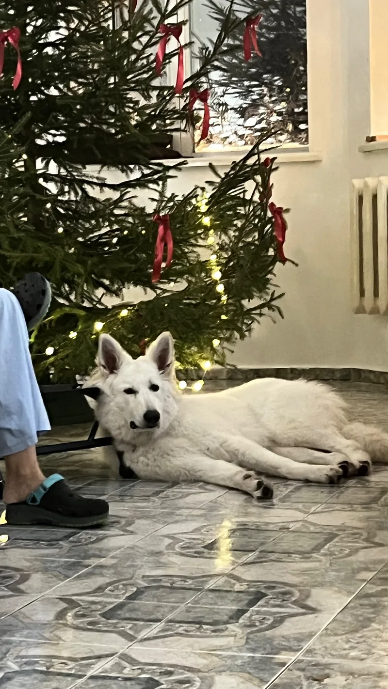Даша, фотография