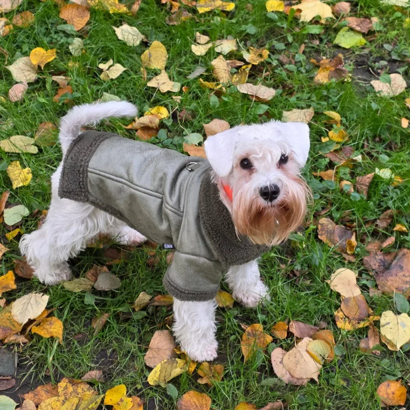Natty, фотография