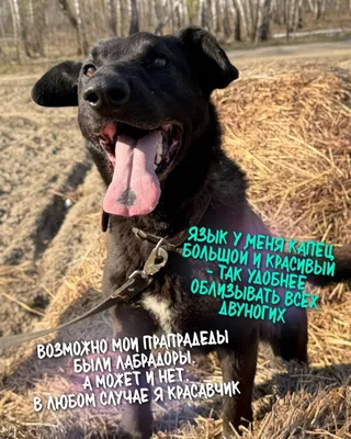 Гриша, фотография