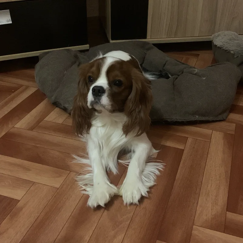 Даниил, фотография
