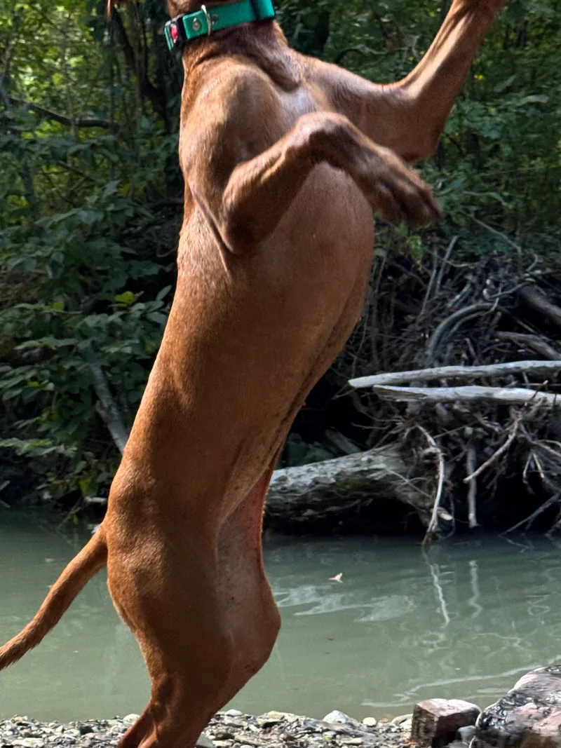 Мари, фотография