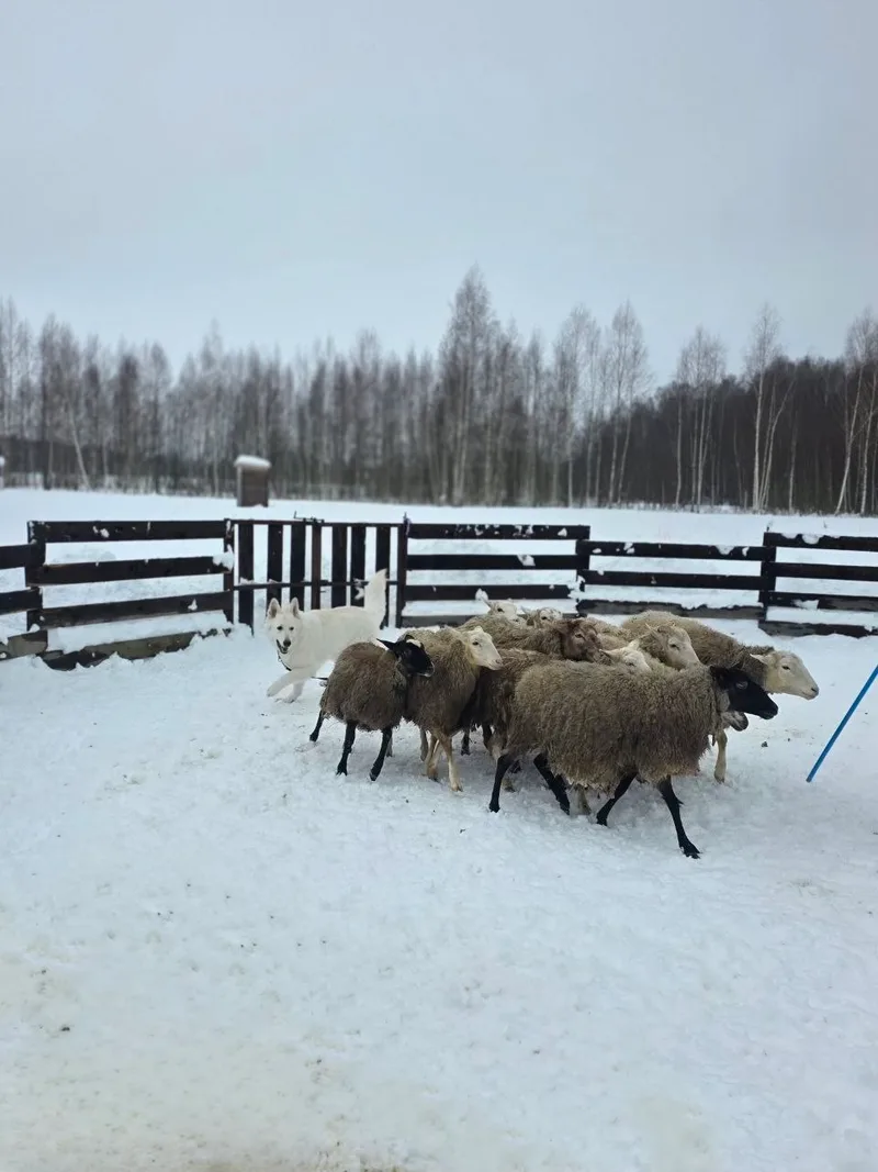 Даша, фотография