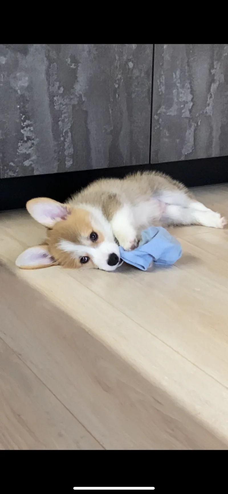 Первый носок 🧦