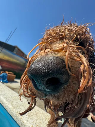 Моника, фотография