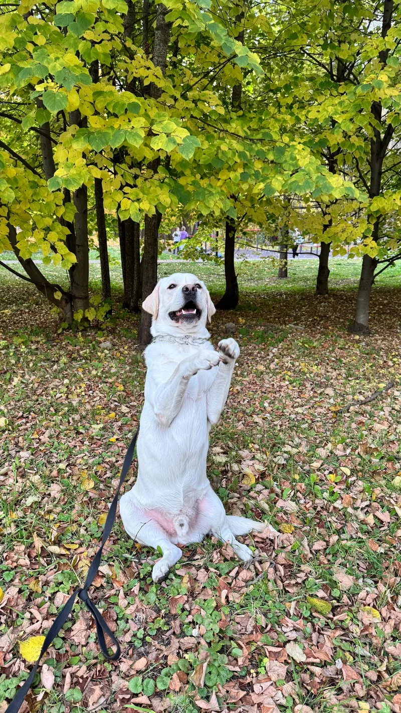 Марго, фотография
