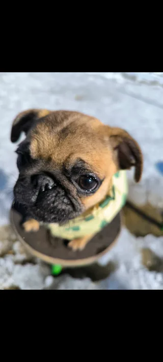 Персей, фотография