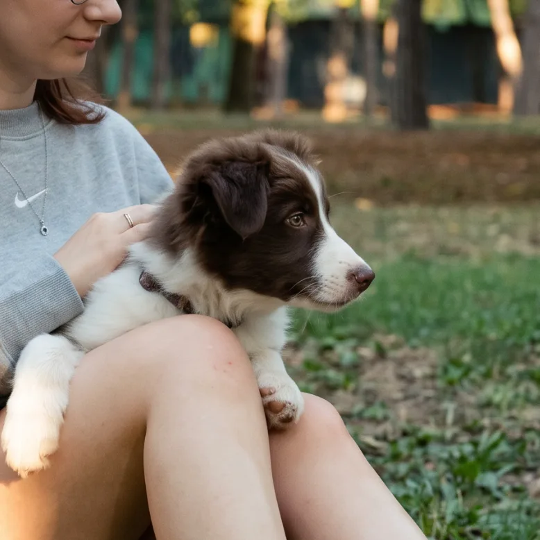 Снежана, фотография