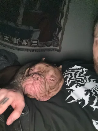 Бэмби, фотография