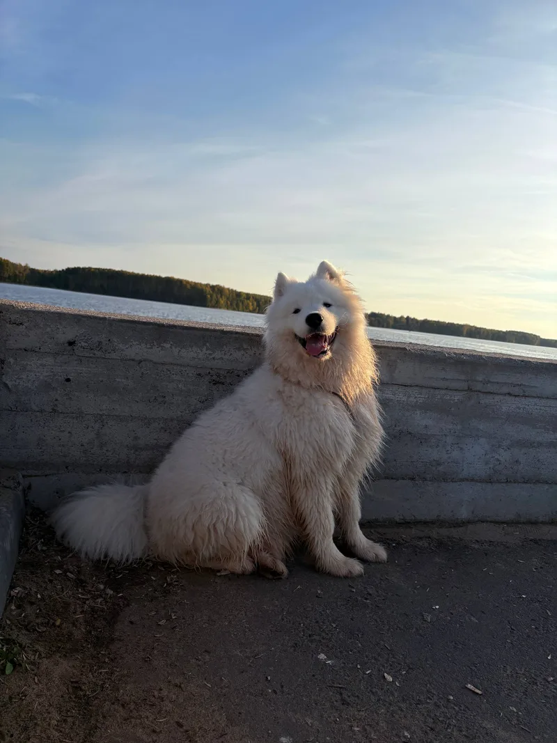 Ксения, фотография