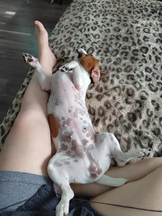 Дина, фотография