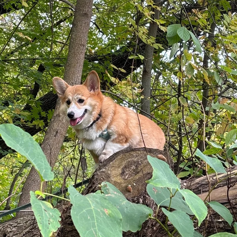 Полина, фотография
