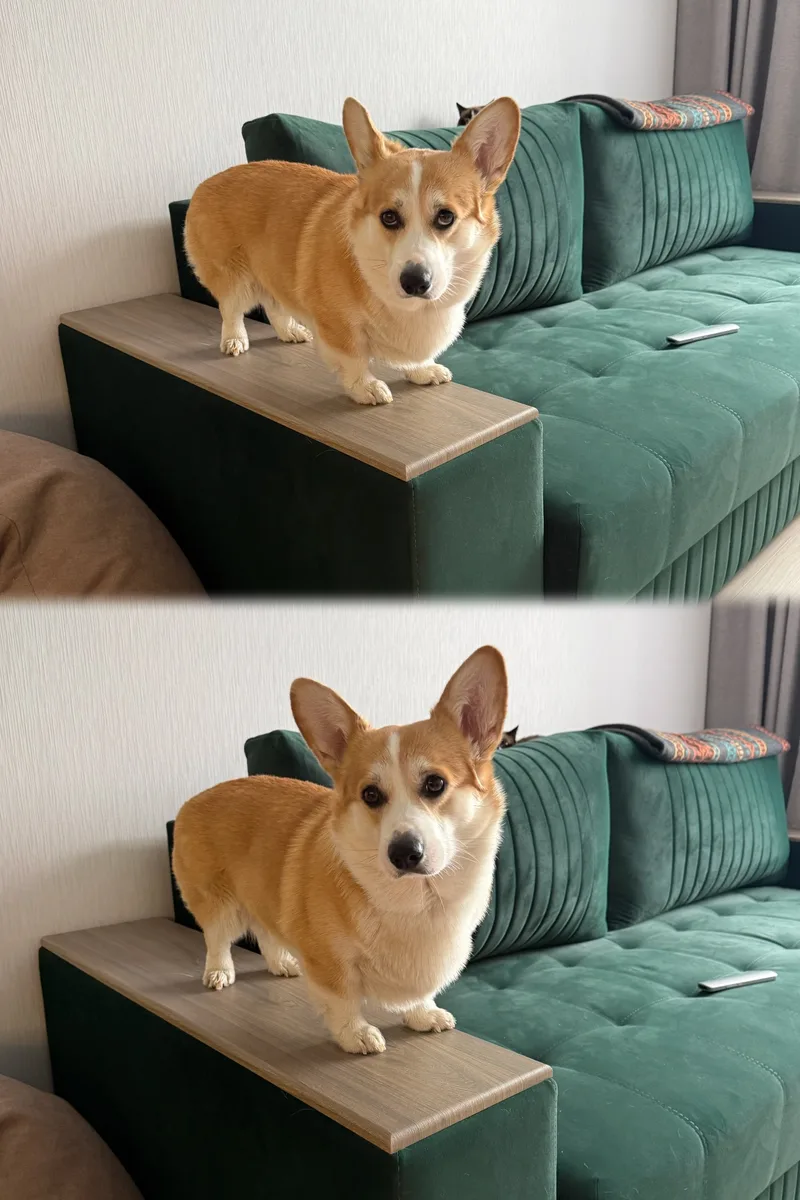 Ксения, фотография