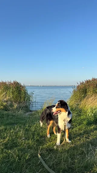 Букля, фотография