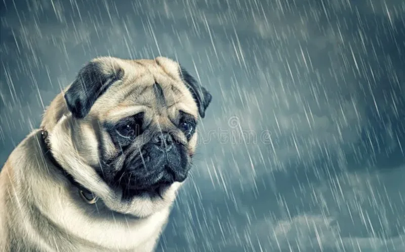 Нет :(