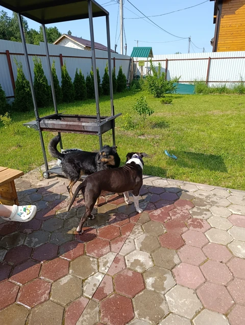 Леон, фотография