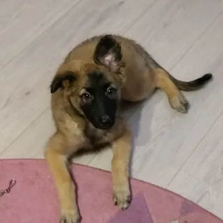 Йона, фотография