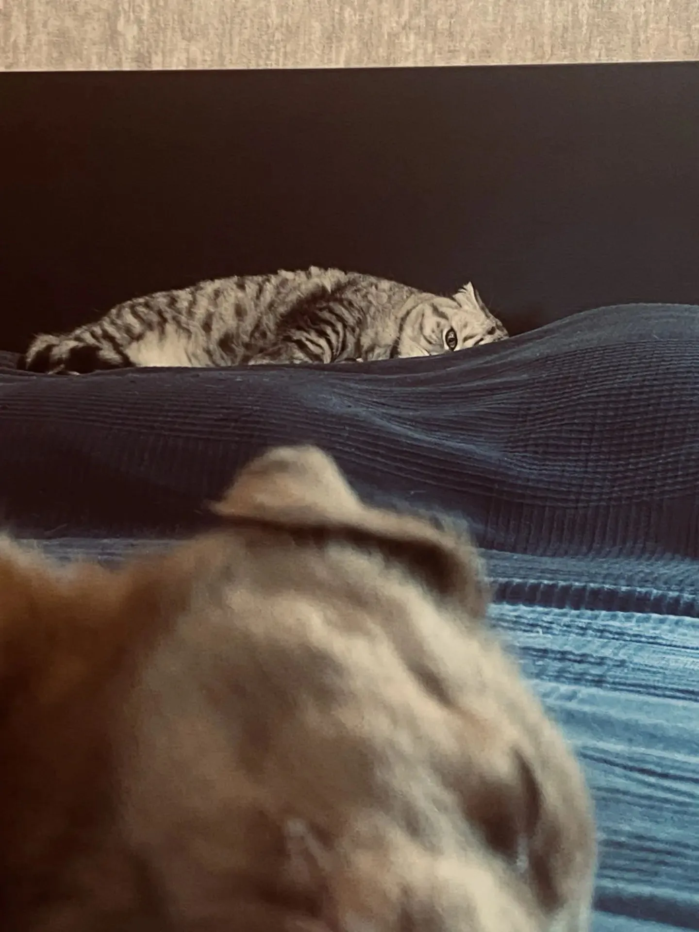 🤨