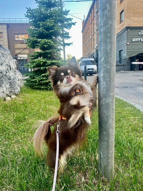Миша🐻, фотография