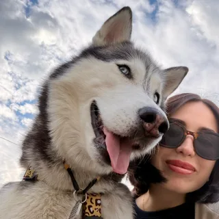 Вьюга, фотография