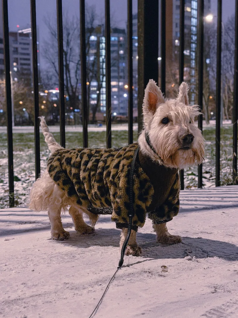 Мария, фотография