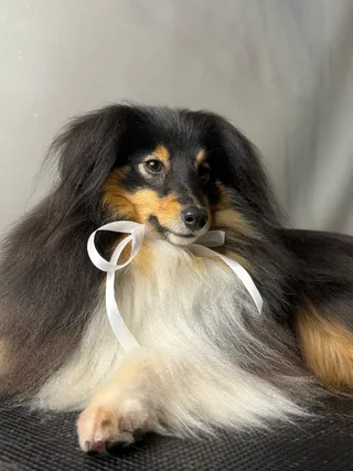 Джанни, фотография
