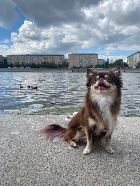 Миша🐻, фотография