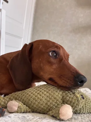 Марс, фотография