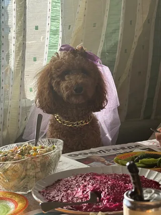 Рэйчи, фотография