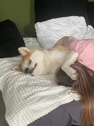 Бу, фотография
