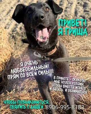 Гриша, фотография