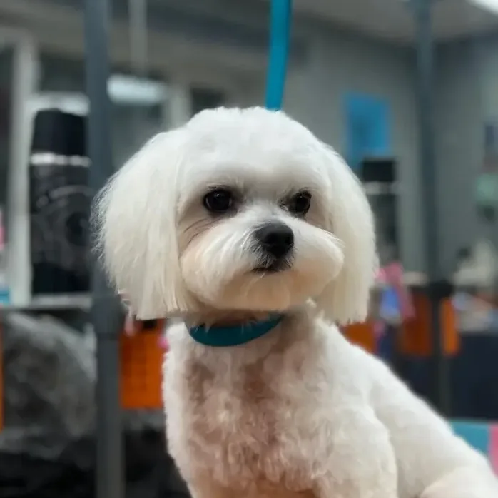 Георгий, фотография