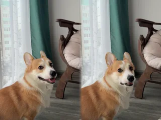 Кубик, фотография