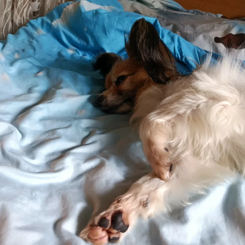 Анна, фотография