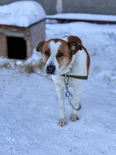 Зайка, фотография
