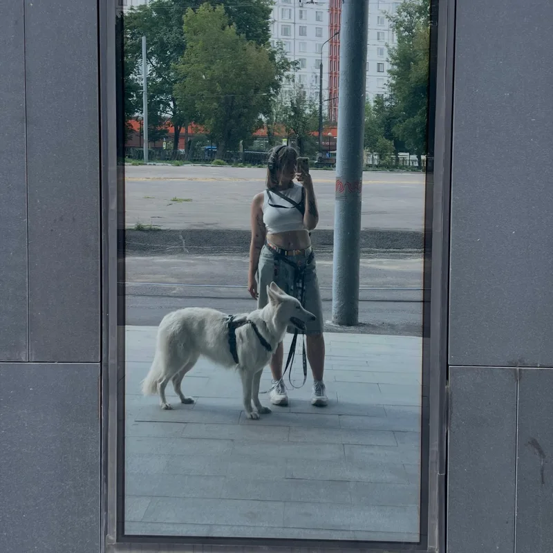 земля, фотография