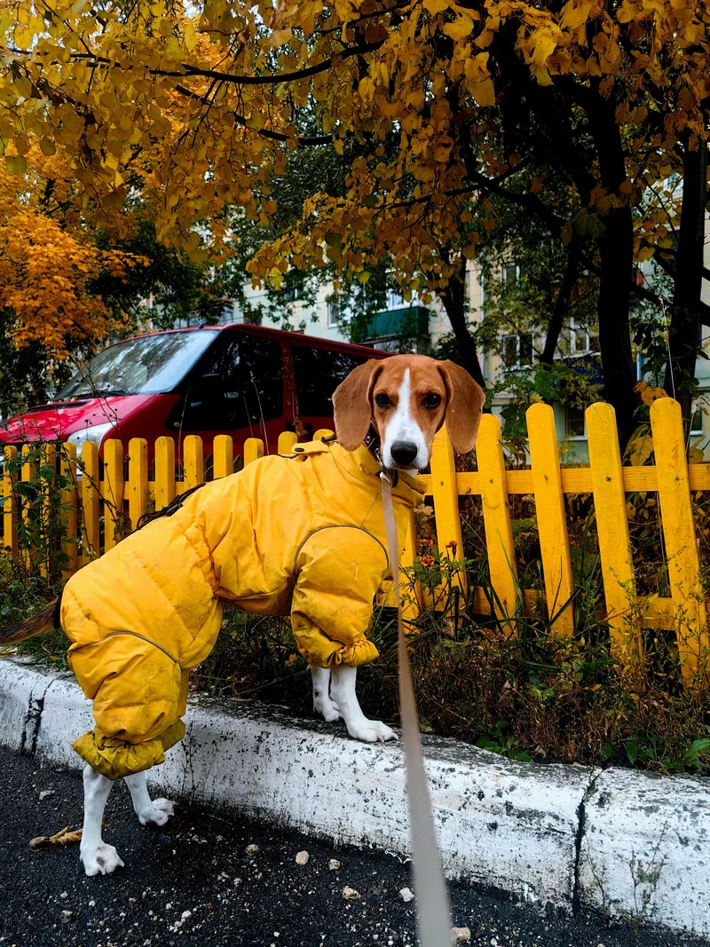 Настя, фотография