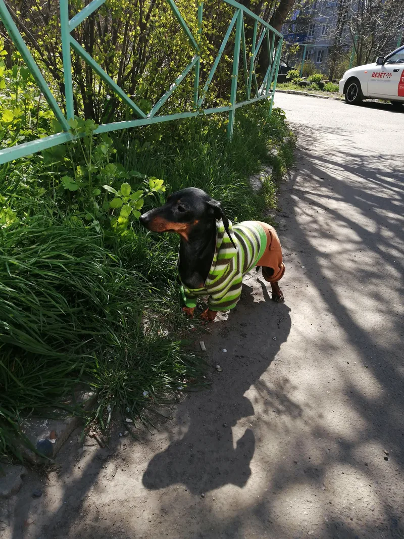 Оля, фотография