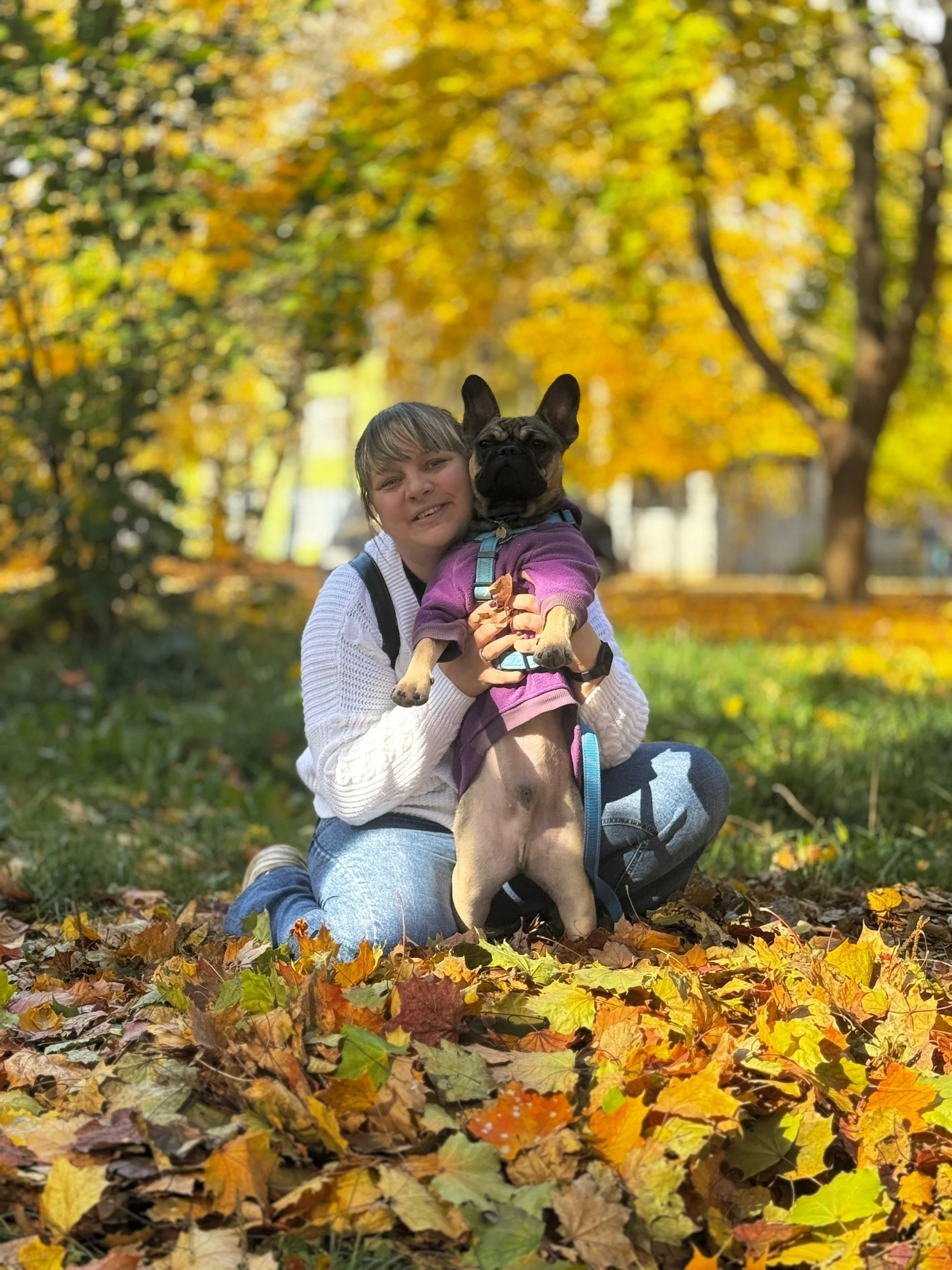 Красивая осень