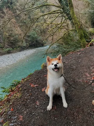 Бу, фотография