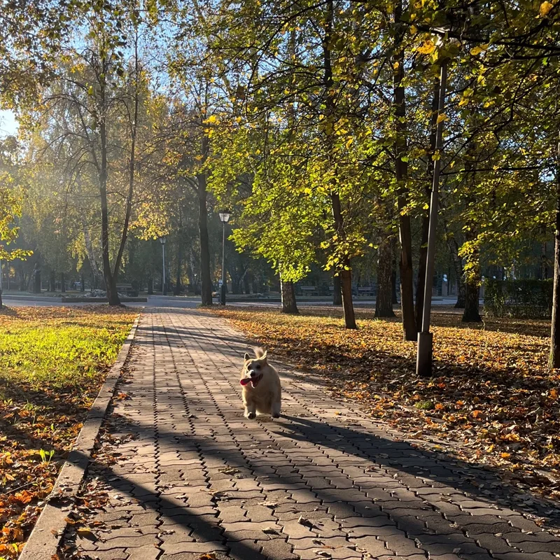 Глеб, фотография