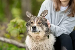 Грег, фотография